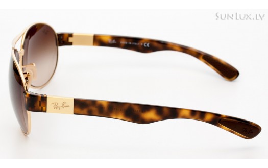 Ray-Ban Active Lifestyle Aviator (RB3509 001/13 63mm) saules brilles